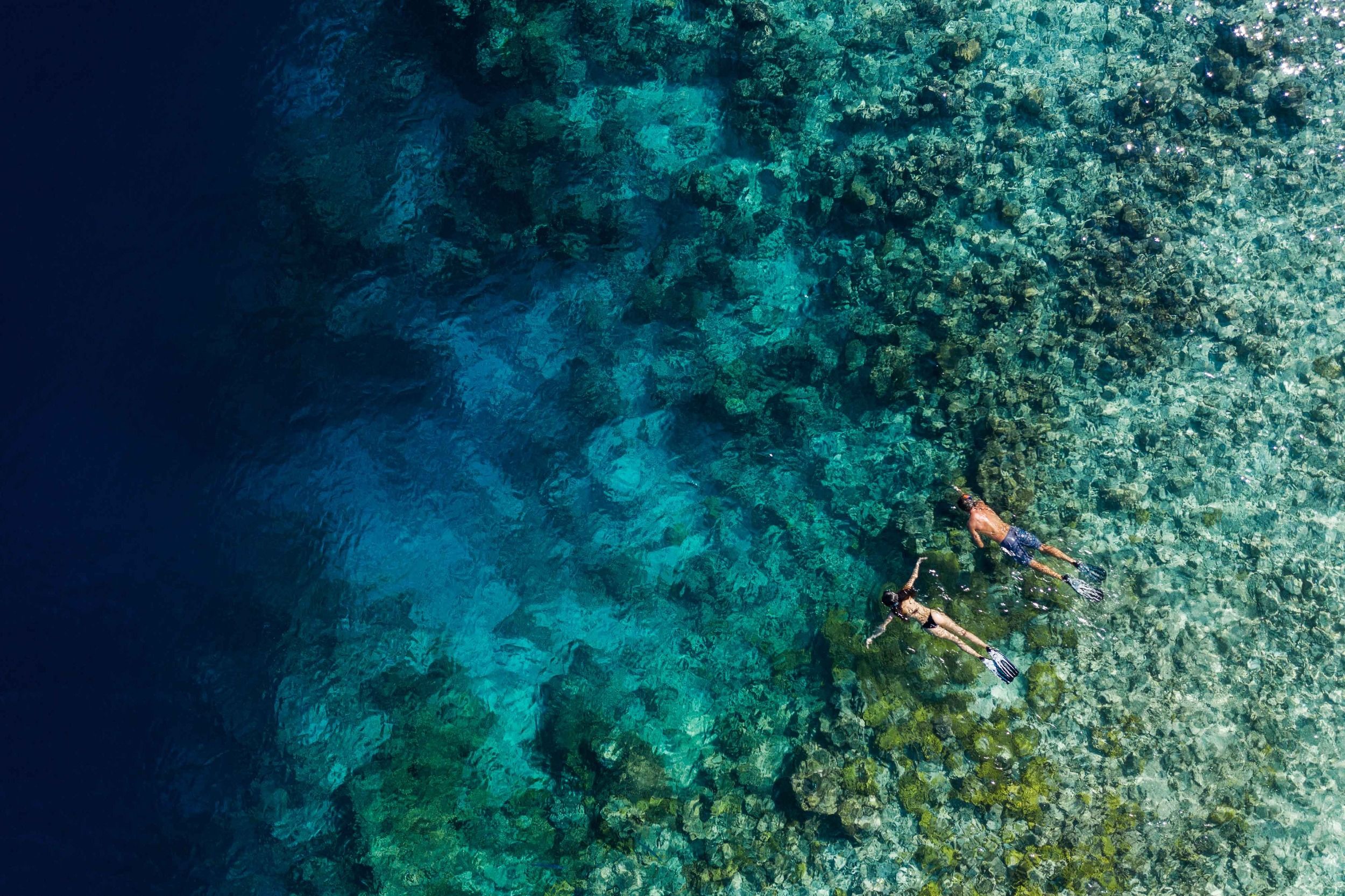 Ithaafushi_The_Private_Island_Housereef-Snorkling_Couple.jpg
