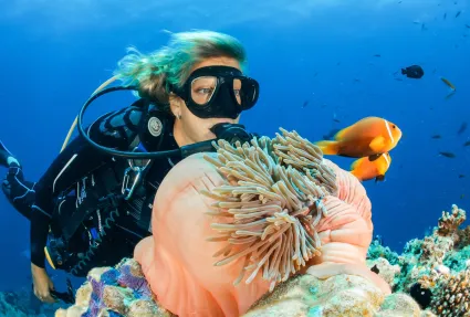 Scuba Diving at Maaya Thila Maldives