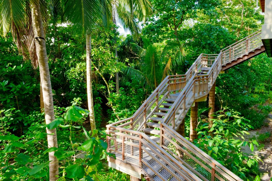 Wellness Tree House  Exterior