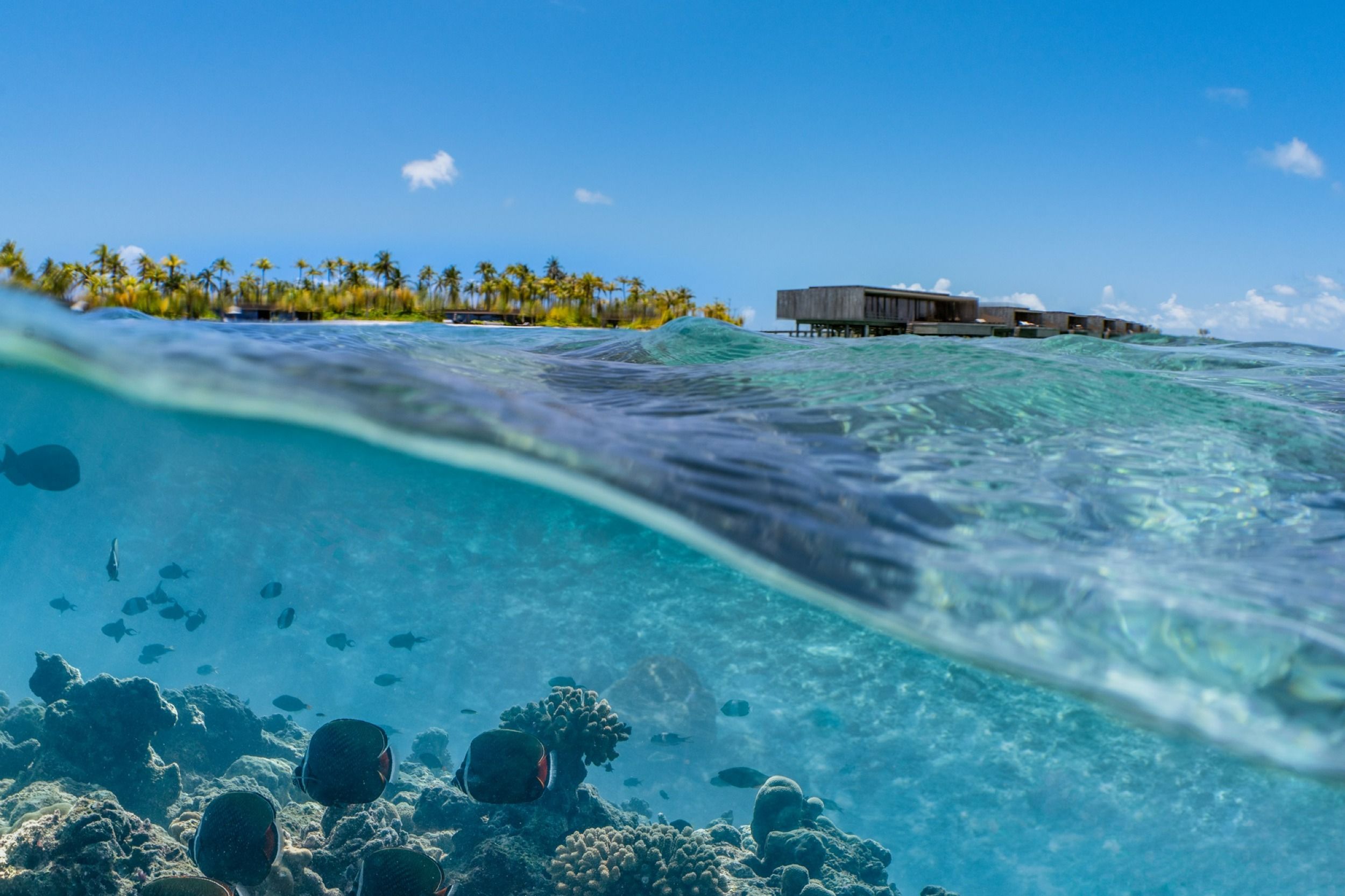 Patina Maldives