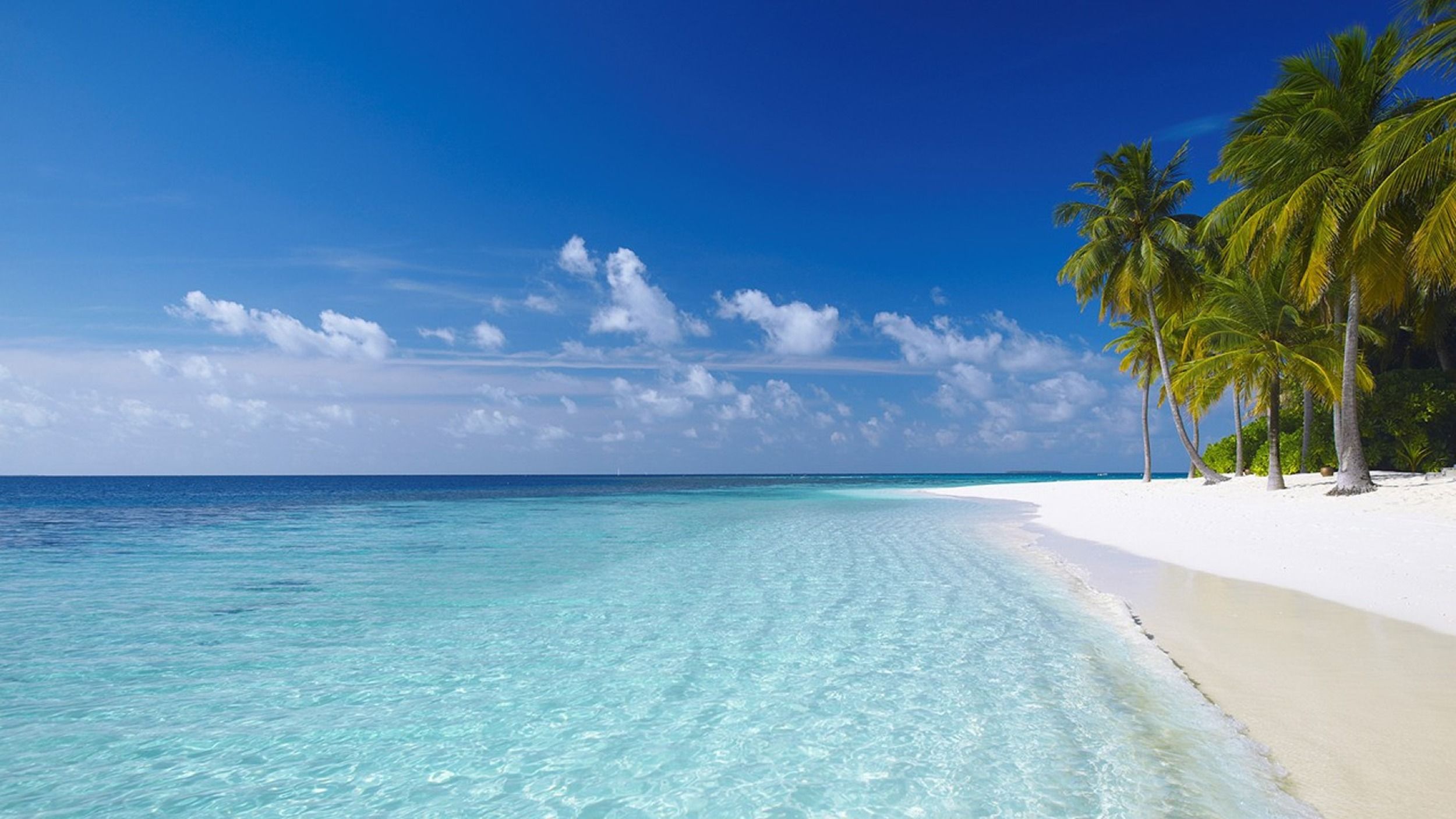 W Maldives