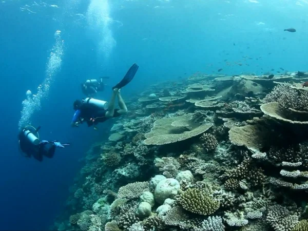 Gili LankanFushi Maldives
