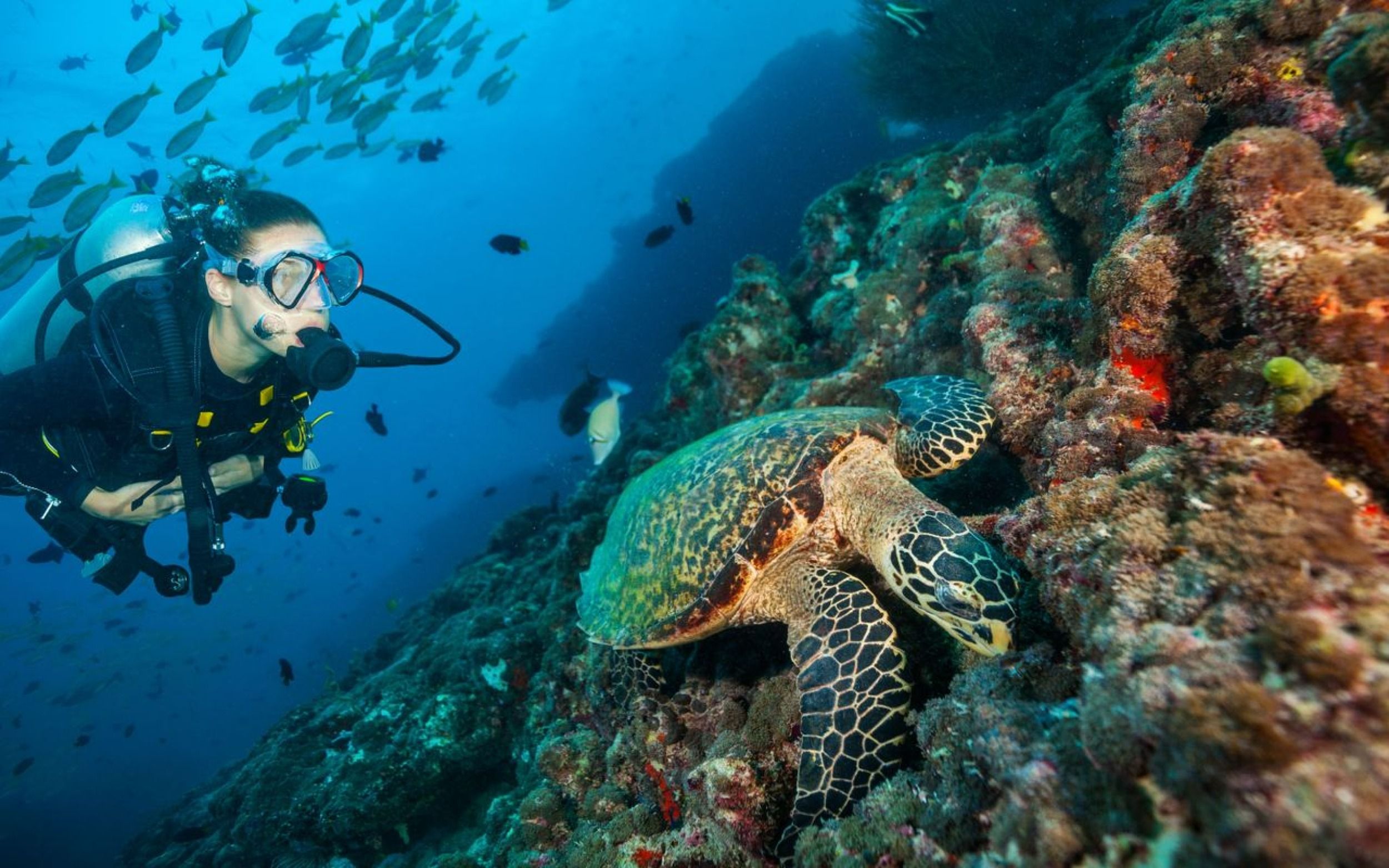 Grand Park Kodhipparu Maldives