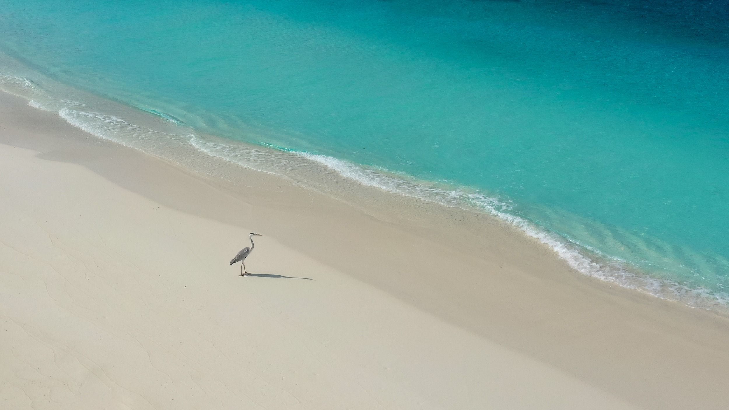 Soneva Secret Maldives