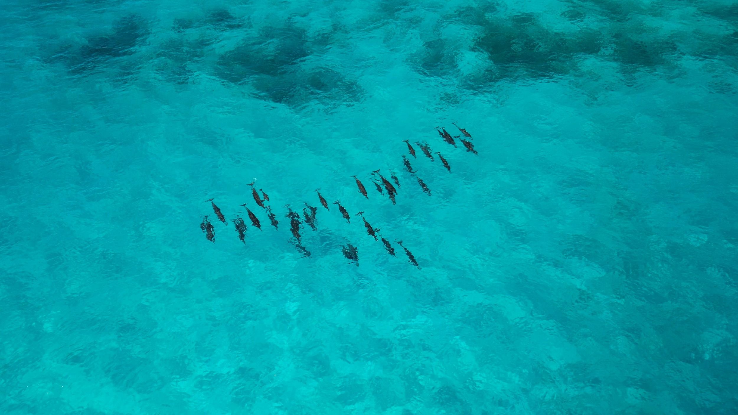Soneva Secret Maldives