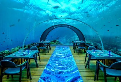 Best Underwater Restaurants in the Maldives