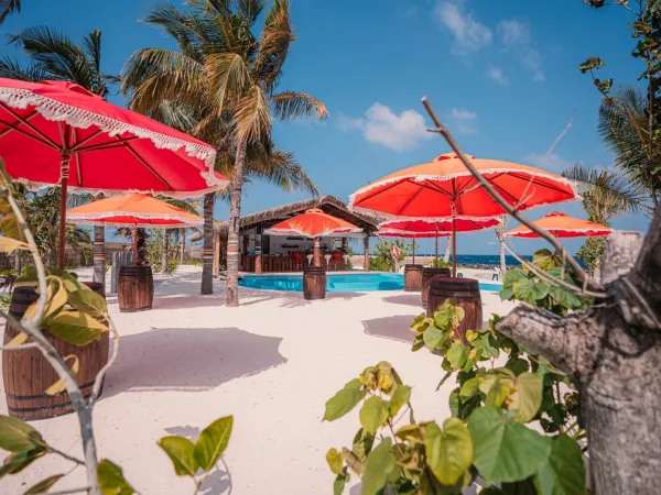 Sobi Bar - Oaga Art Resort