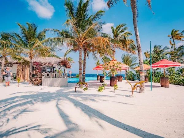 Sobi Bar - Oaga Art Resort
