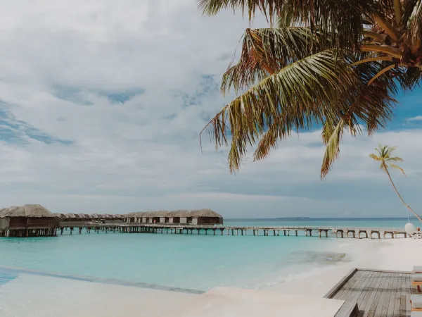 Infinity Pool & Bar - JA Manafaru Maldives