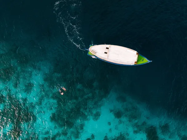 JA Manafaru snorkelling