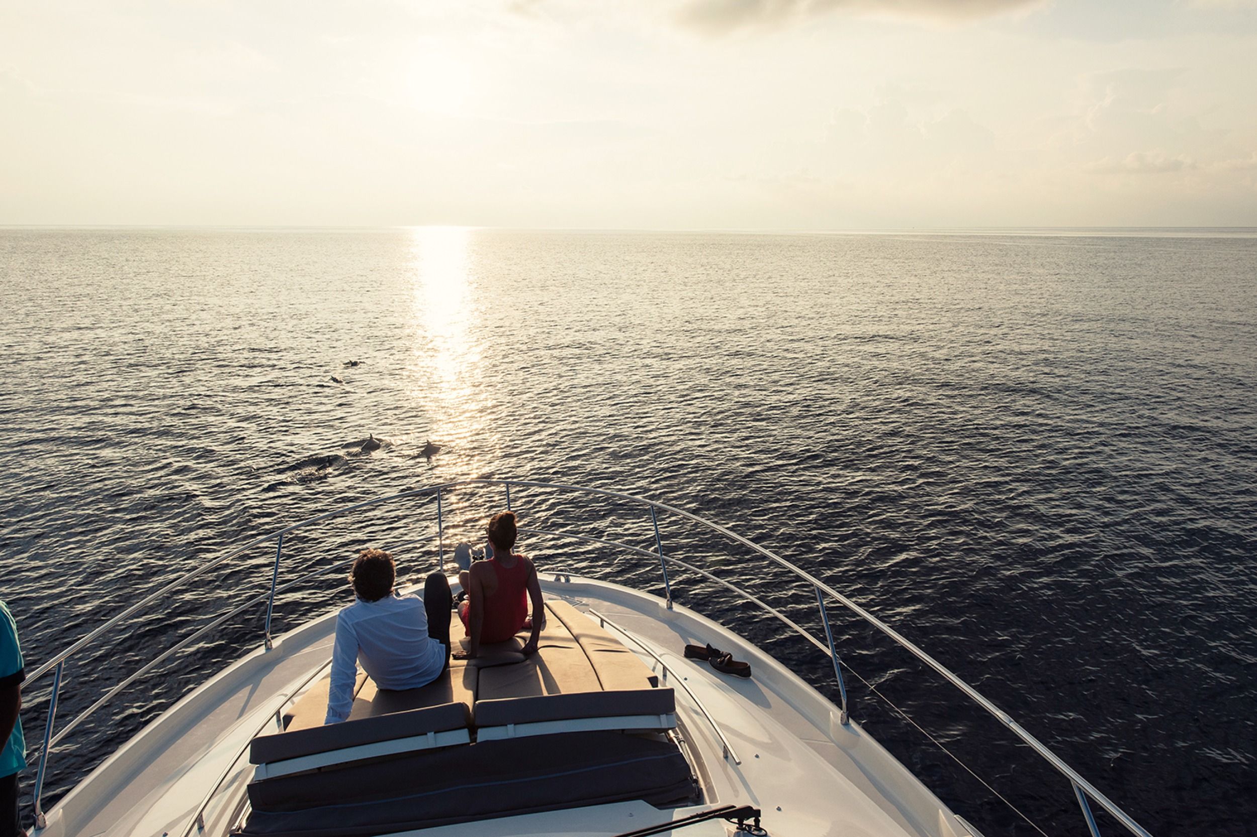 Sunset Dolphin Cruise 
