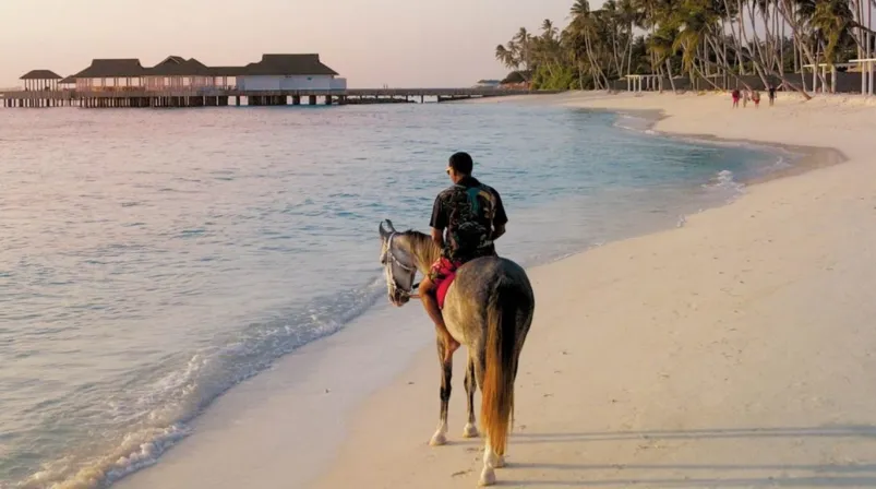Siyam World Horse Ranch
