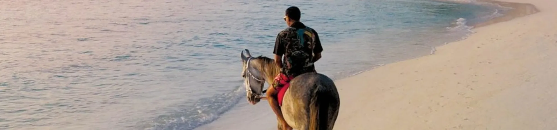 Siyam World Horse Ranch