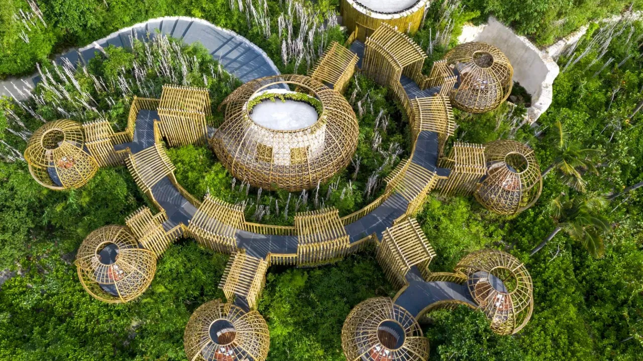 Tree Top Dining at Terra – Waldorf Astoria Maldives