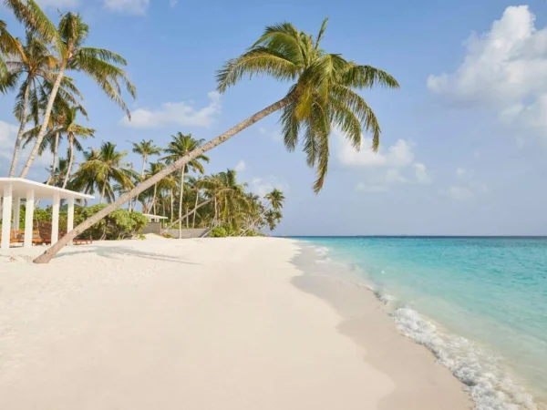 Siyam World Two Bedroom Beach Residence with Pool