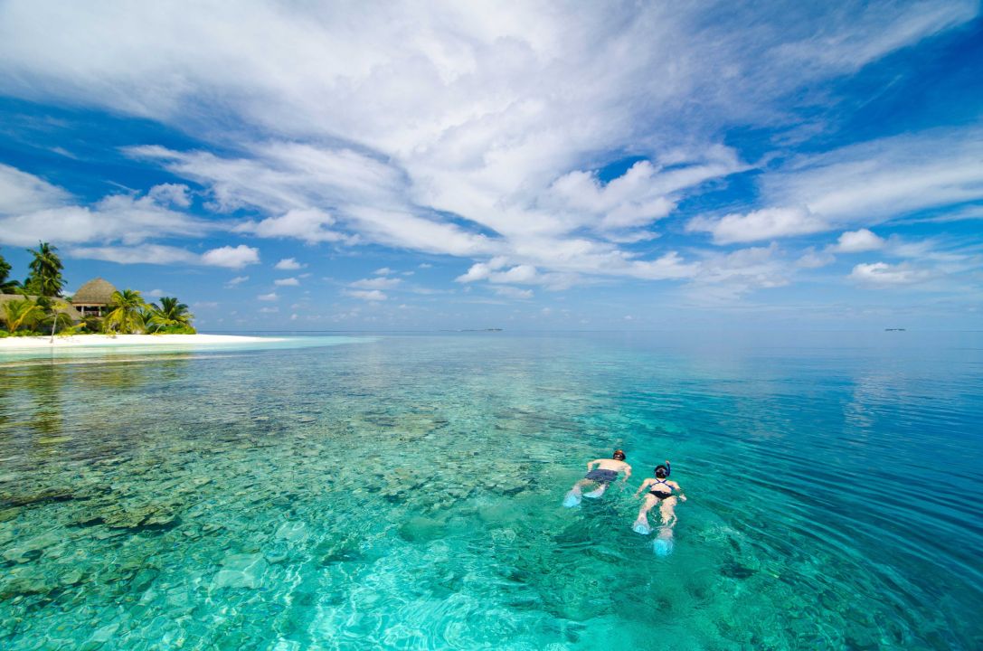 AriExplorer - Kandolhu Maldives