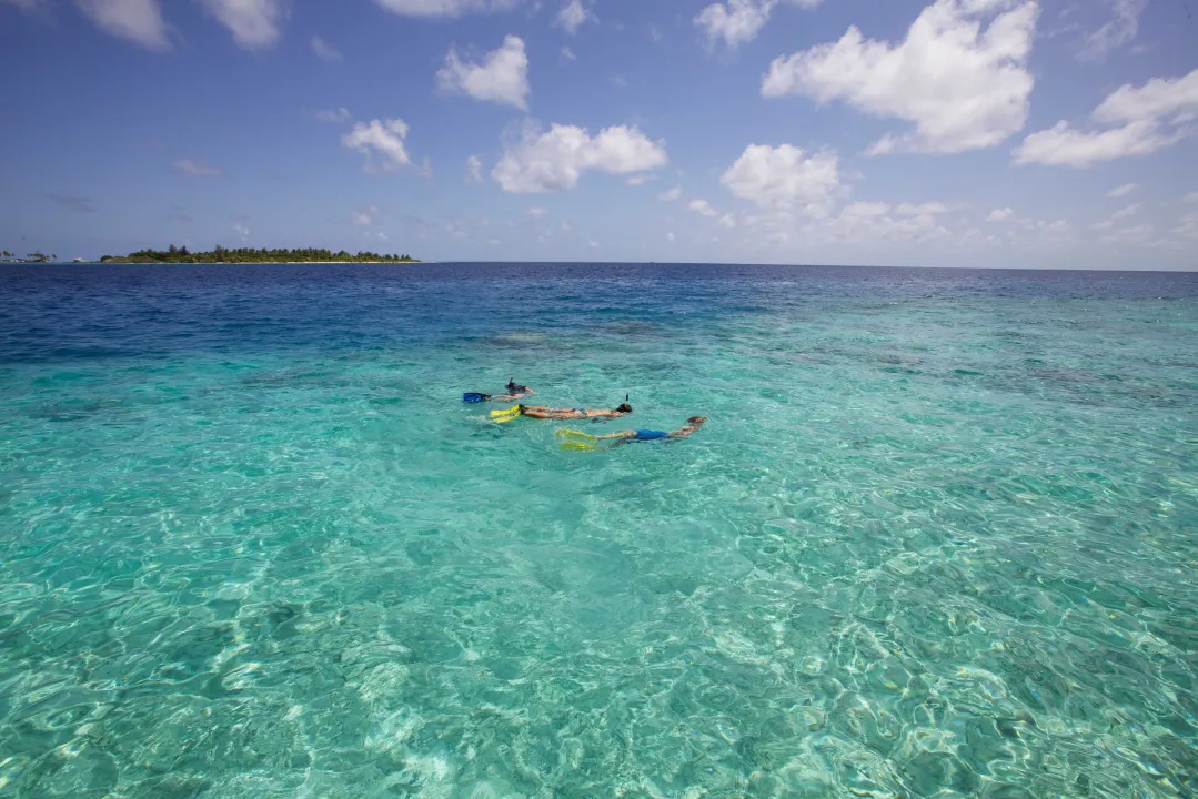  Snorkeling in crystal-clear waters at Six Senses Laamu Maldives – vibrant marine life, coral reefs, and tropical island view