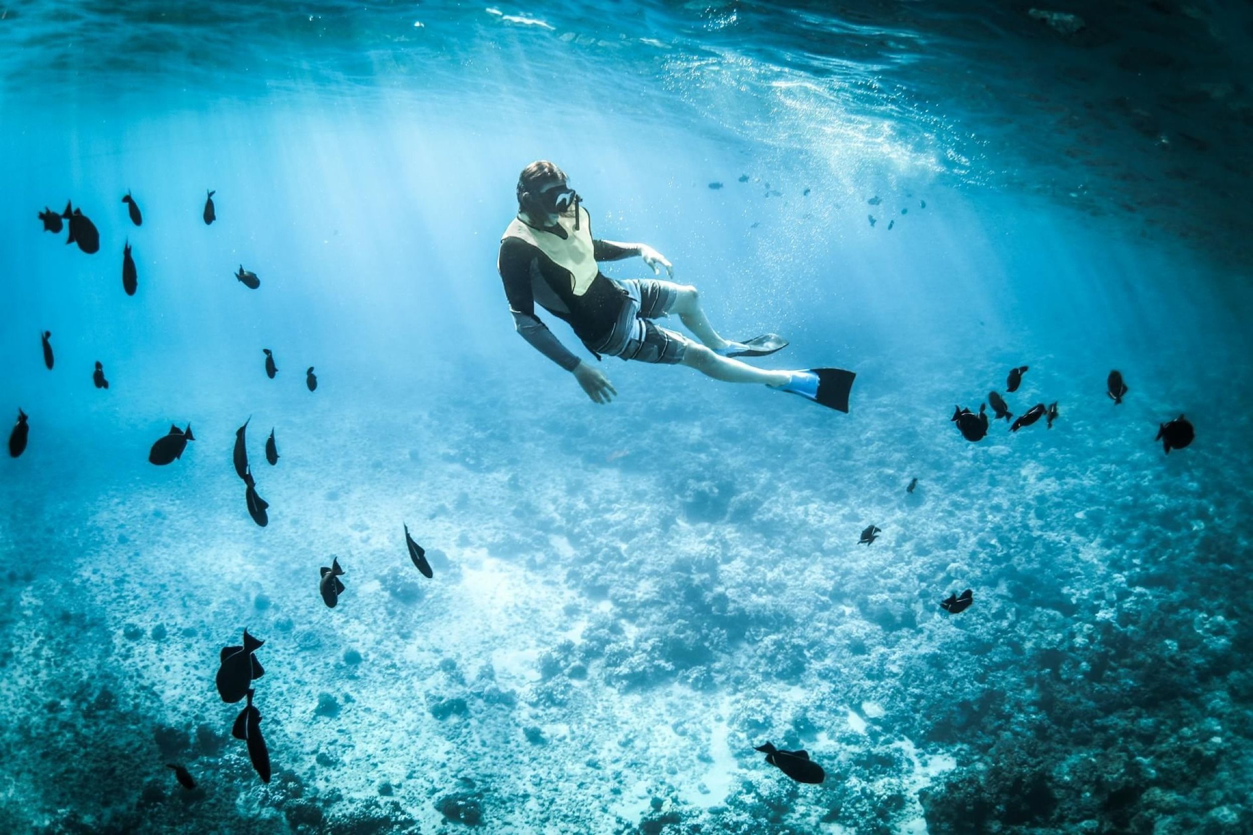 ananea Madivaru Maldives

