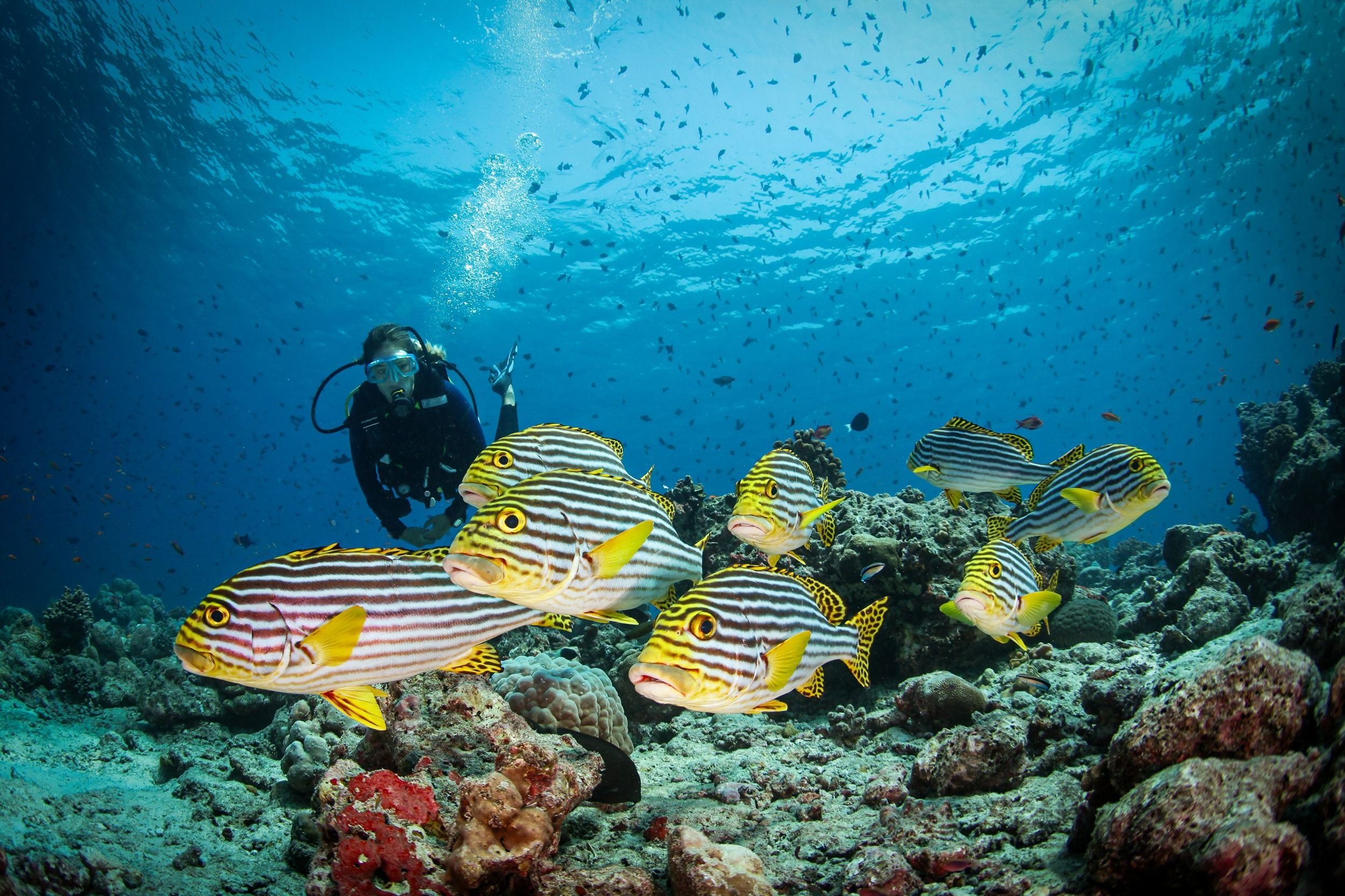 Conrad Maldives