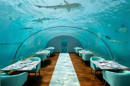 Conrad Maldives Rangali Island - ITHAA UNDERSEA RESTAURANT