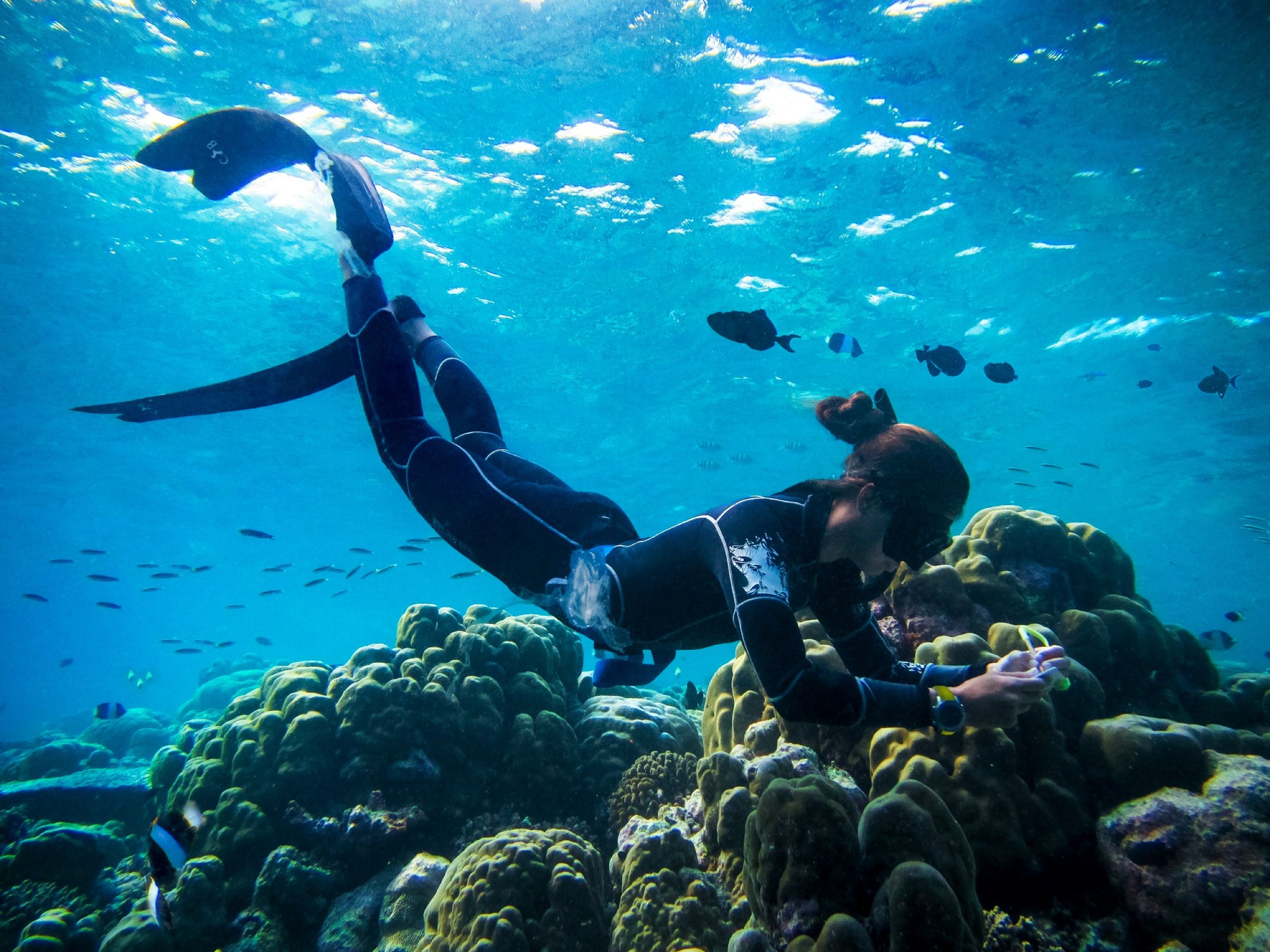 Cheval Blanc Randheli - Diving