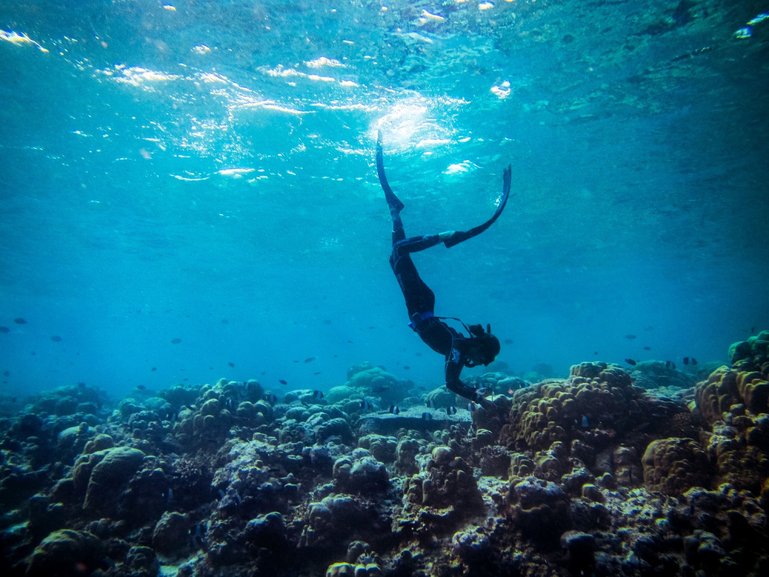 Cheval Blanc Randheli - diving