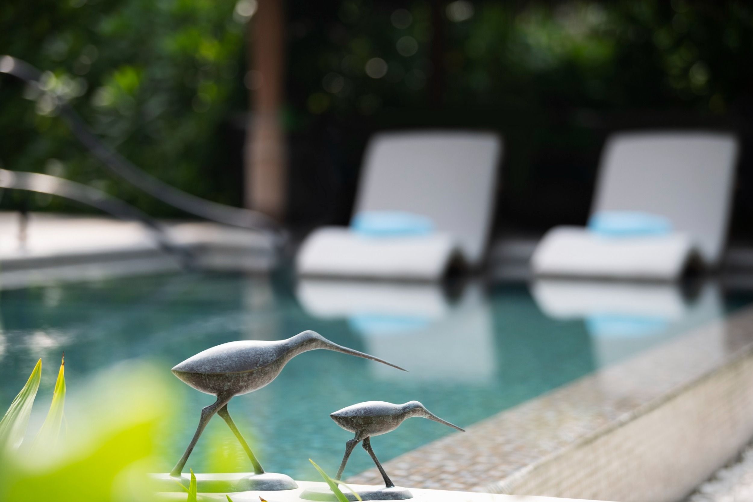 Waldorf Astoria Maldives Ithaafushi - Grand Beach Villa with Pool