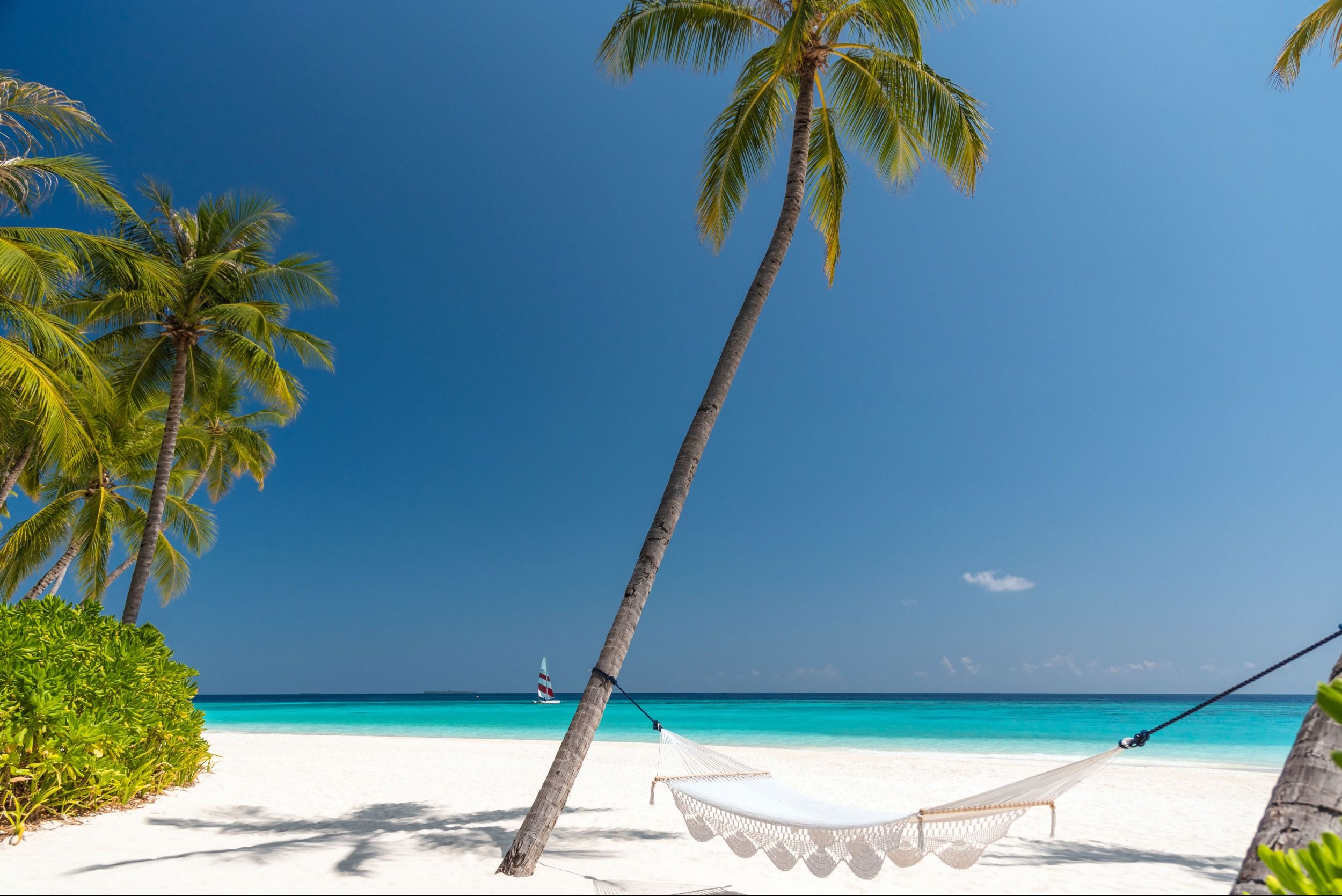 Beach View
