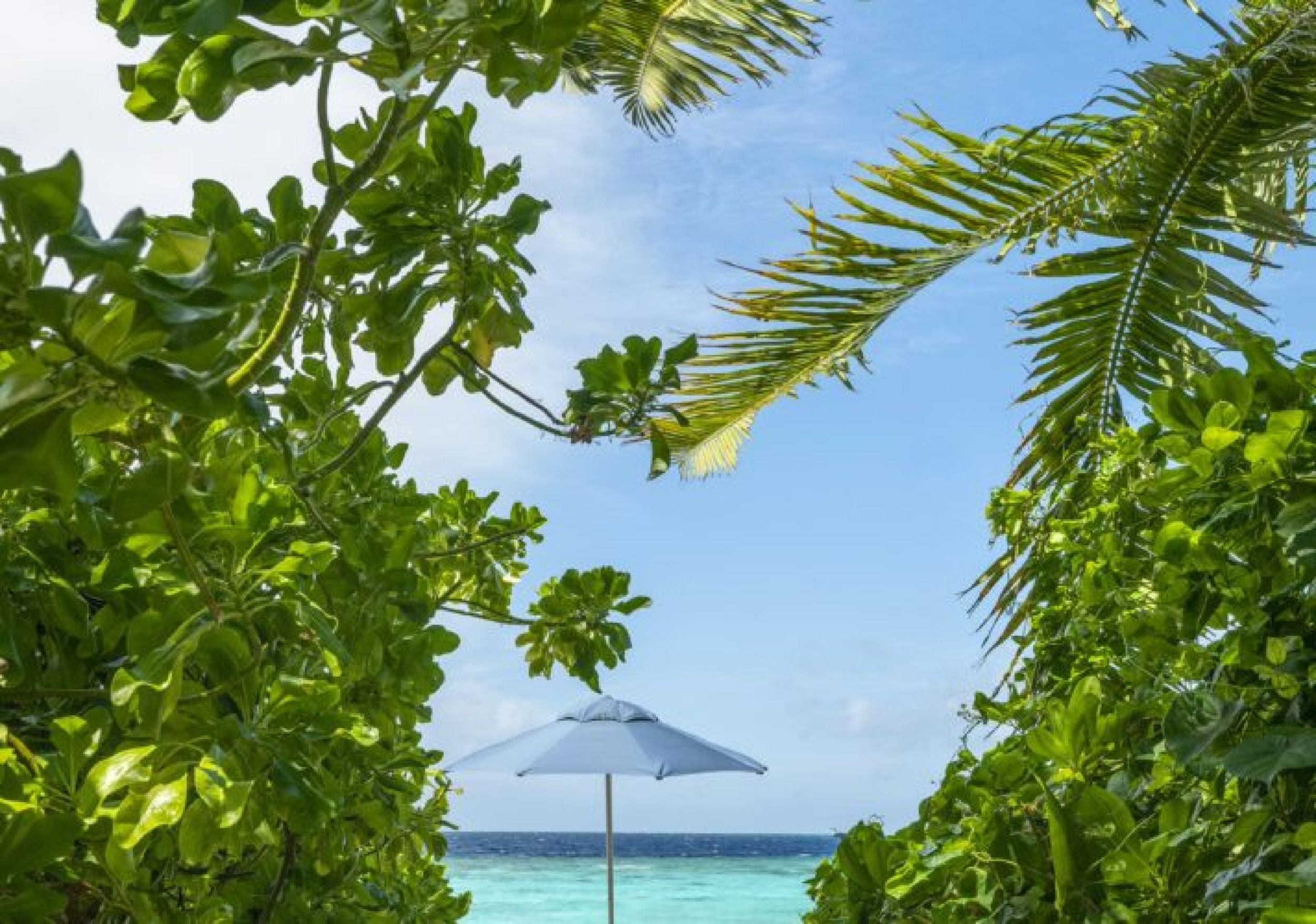 The Halcyon Maldives