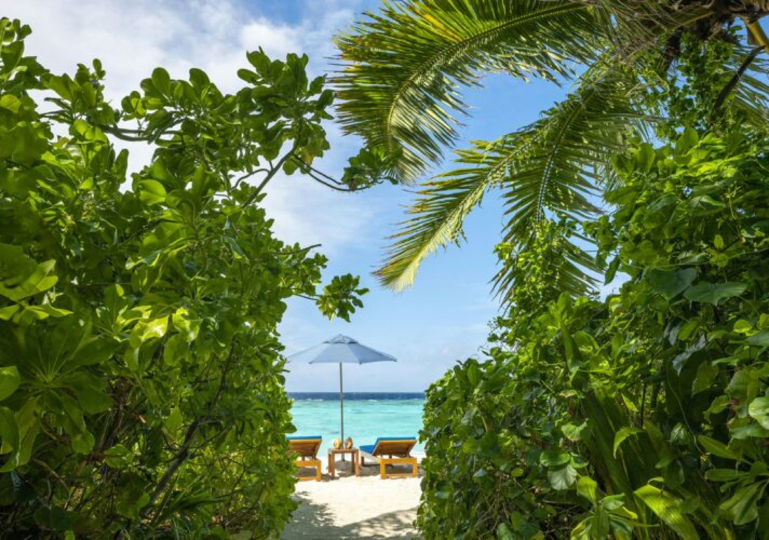 The Halcyon Maldives