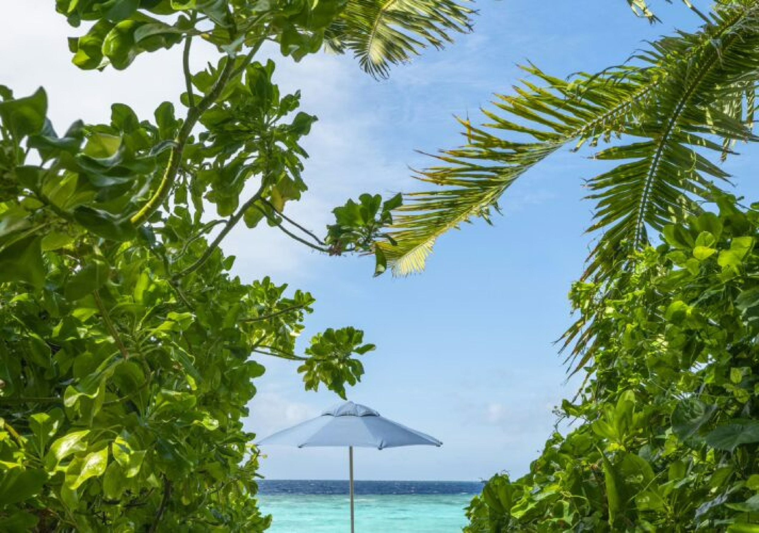The Halcyon Maldives