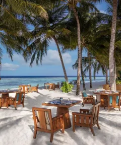 Our chefs draw inspiration from the bounty of land and sea, blending Mediterranean ease with Asian vibrancy. Expect sun-drenched produce from our organic garden, freshly caught seafood, and aromas that carry on the ocean breeze.