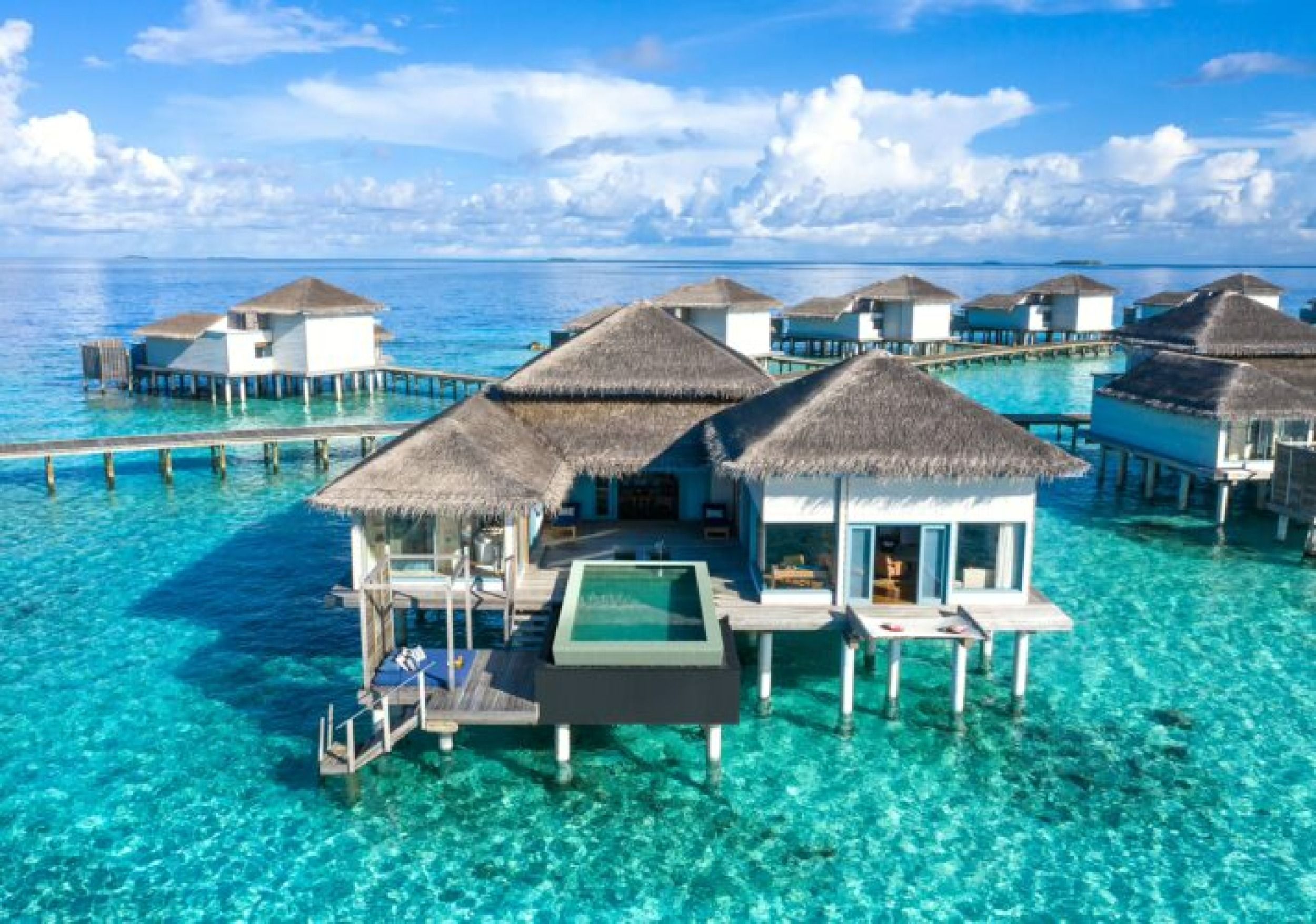 The Halcyon Maldives