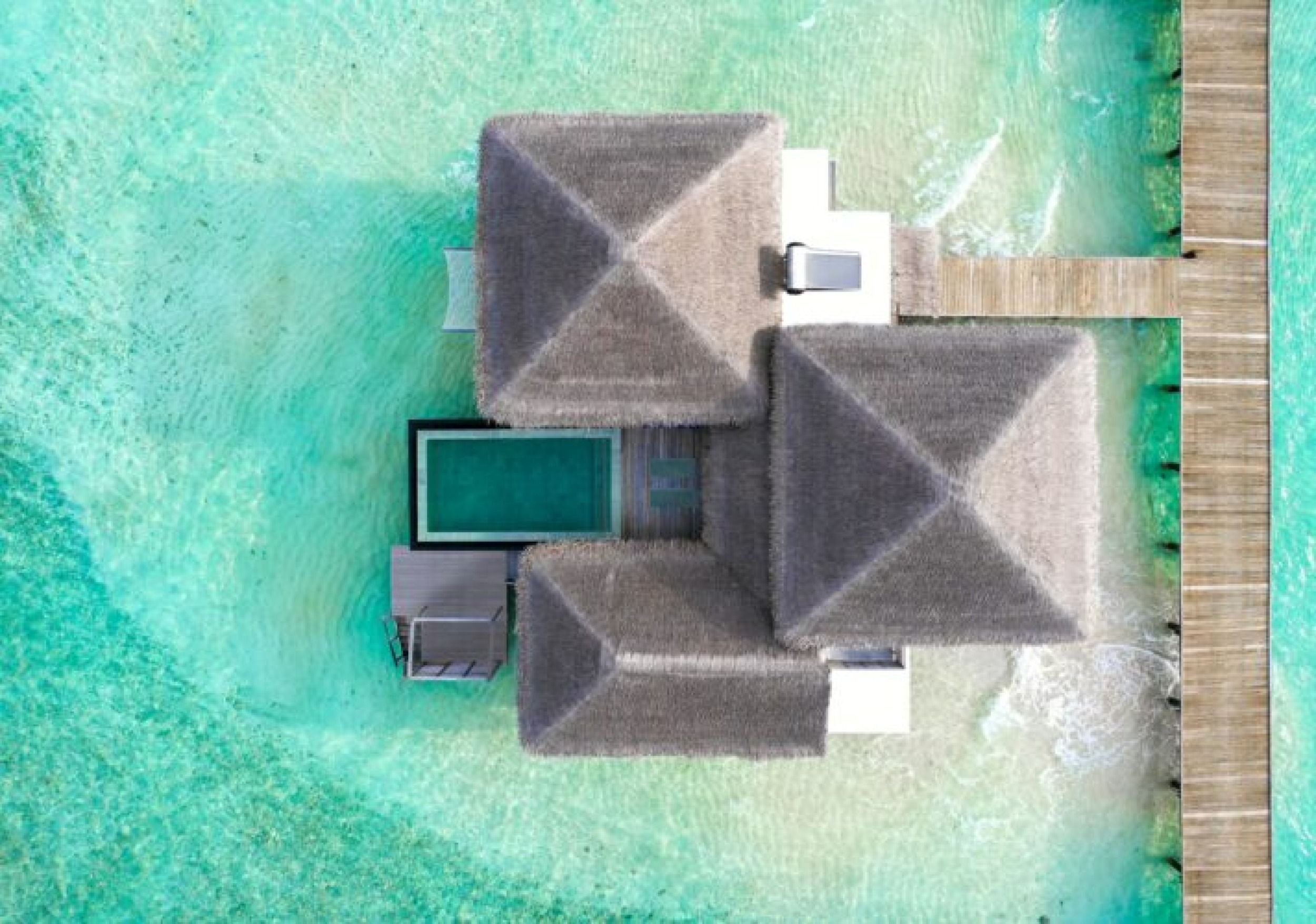 The Halcyon Maldives