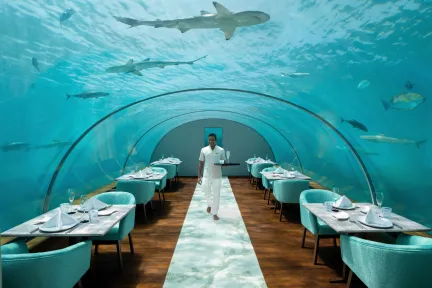 Conrad Maldives Undersea Restaurant 