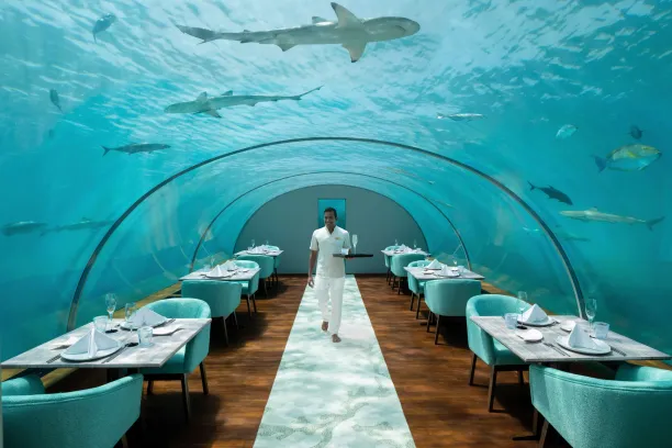 Conrad Maldives Undersea Restaurant