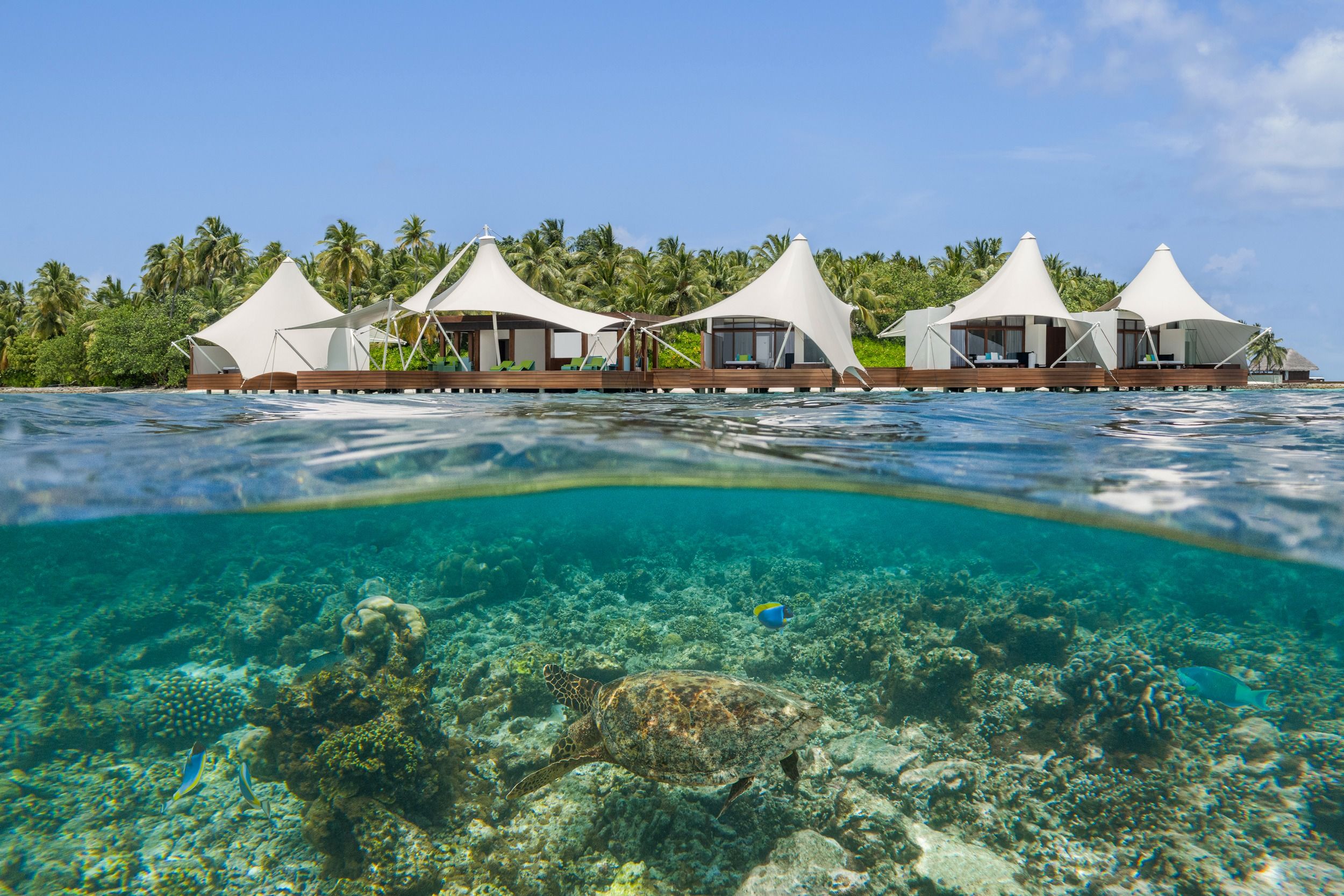 W Maldives