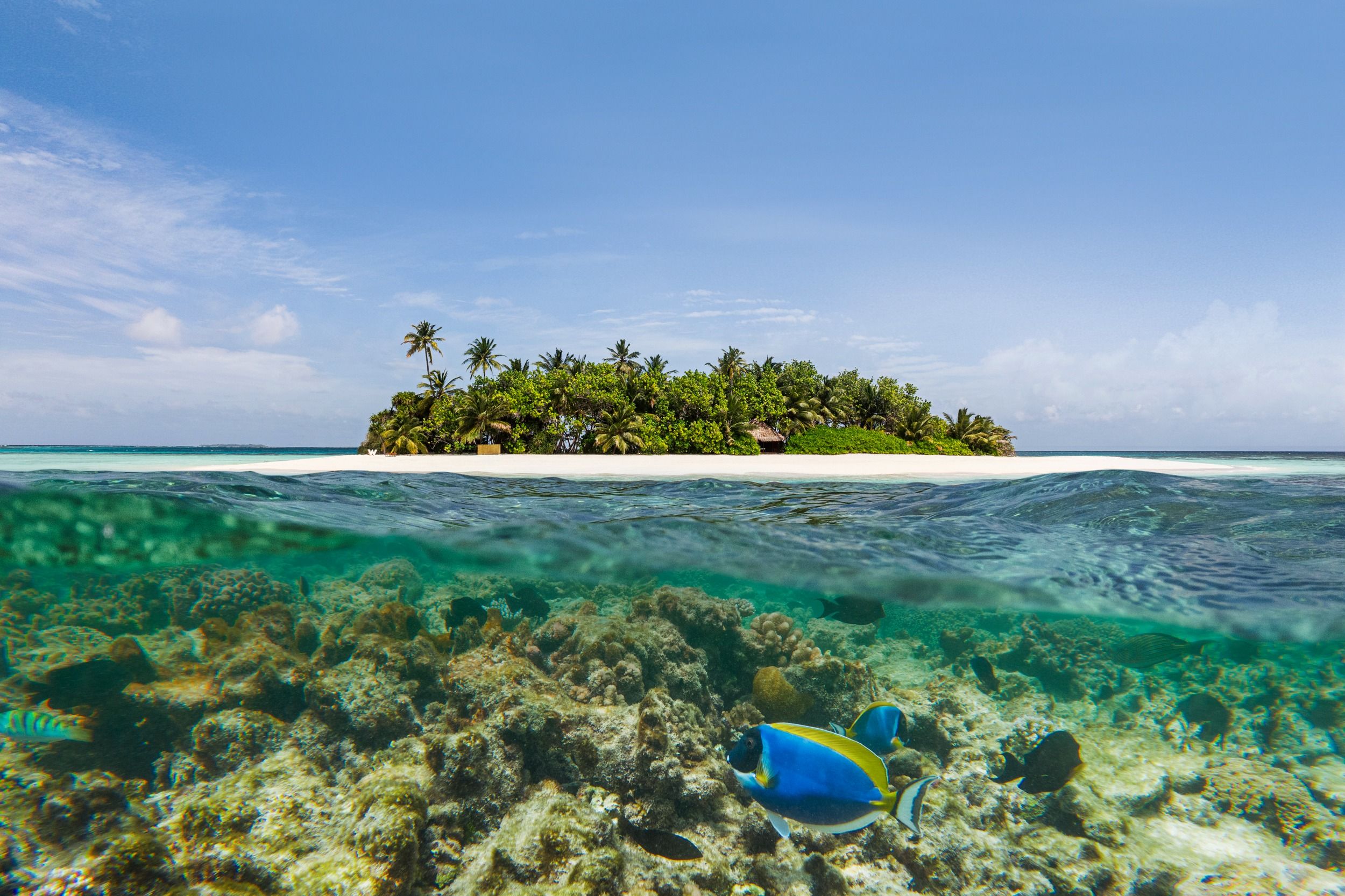 W Maldives