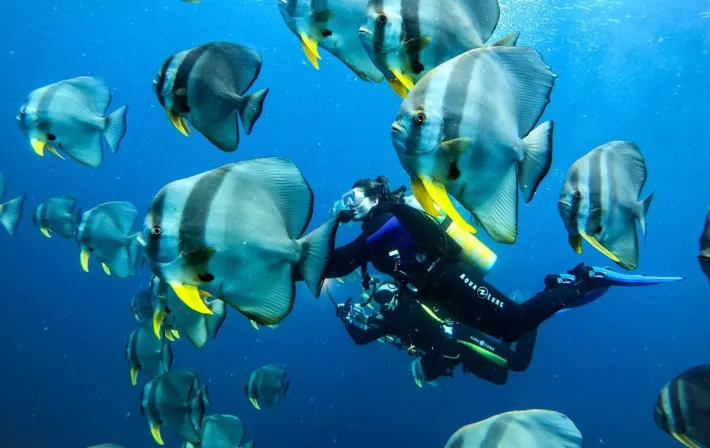 Diving Resorts