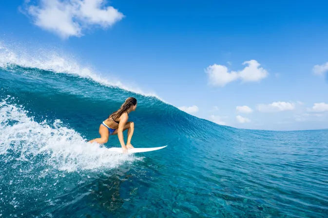 Surfing Resorts