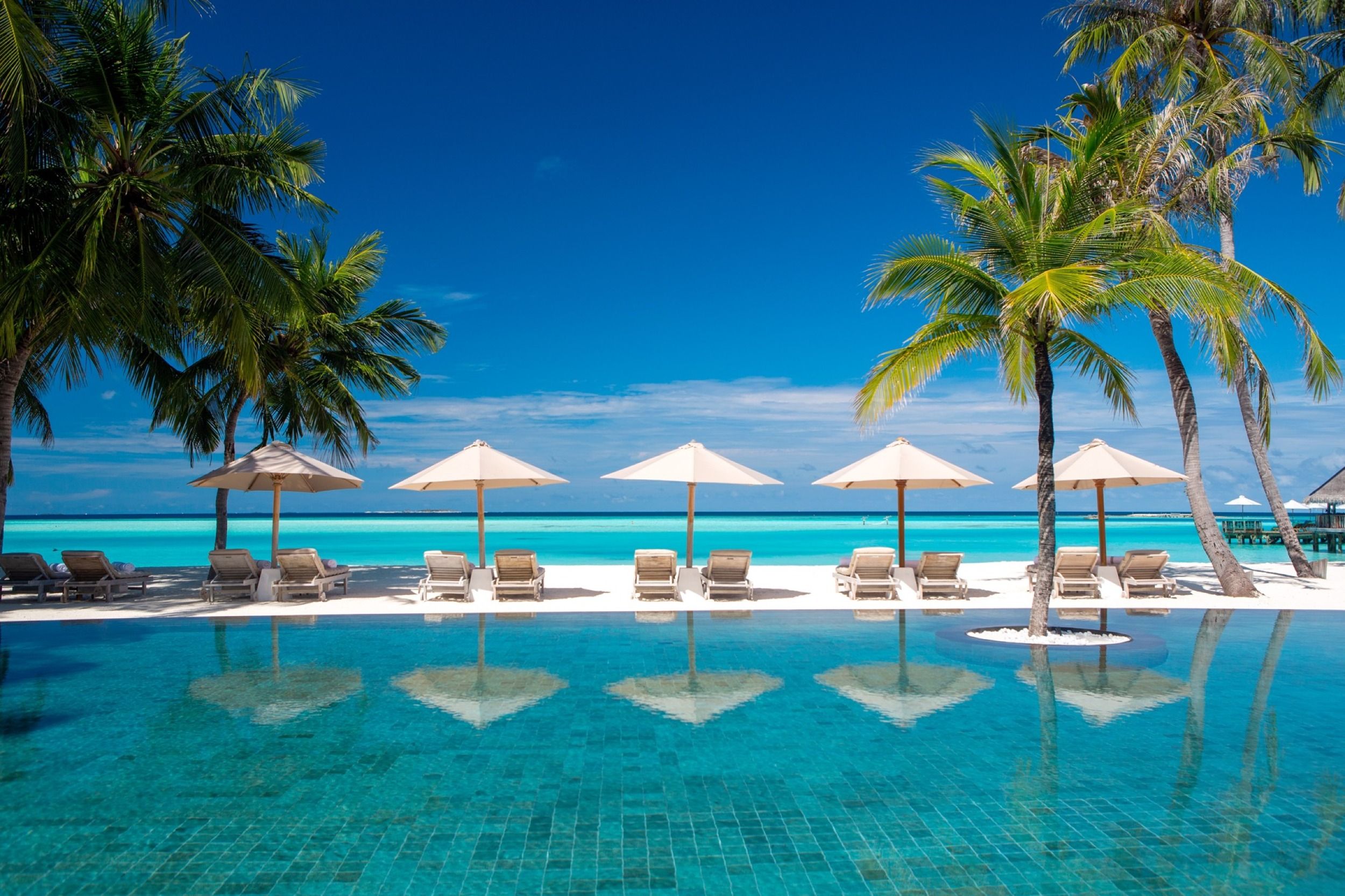Gili Lankanfushi Swimming Pool 
